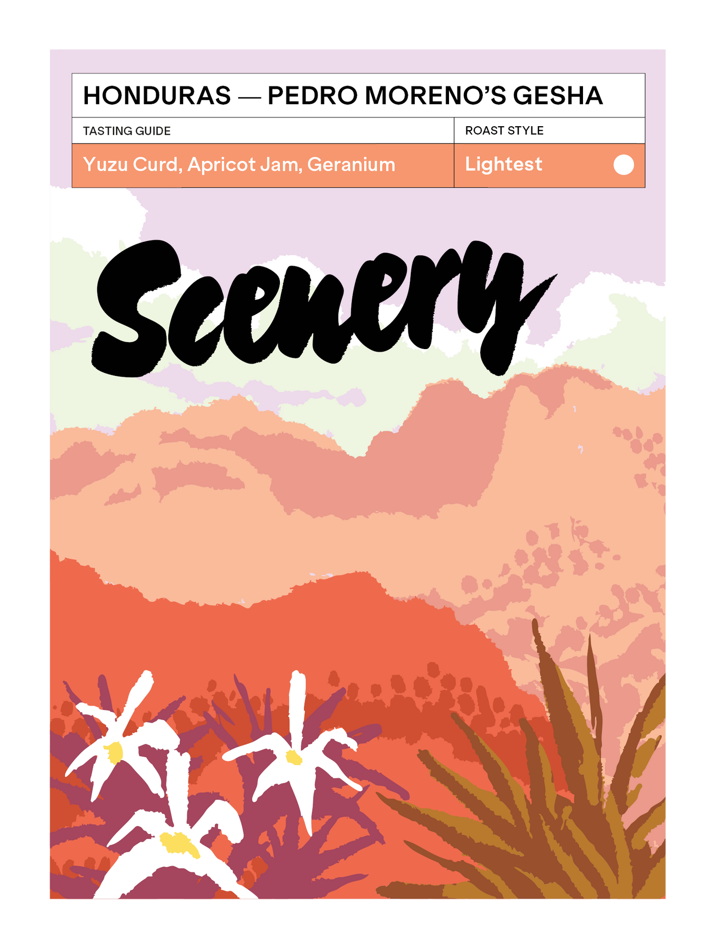 Honduras - Pedro Moreno's Gesha