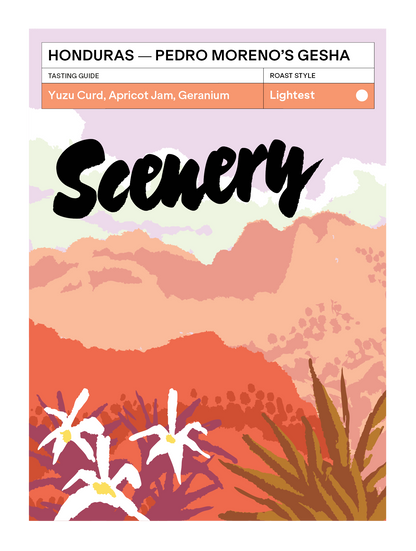 Honduras - Pedro Moreno's Gesha