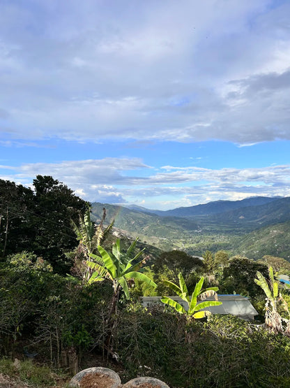 Colombia - Franky Hoyos Advanced Washed Pacamara