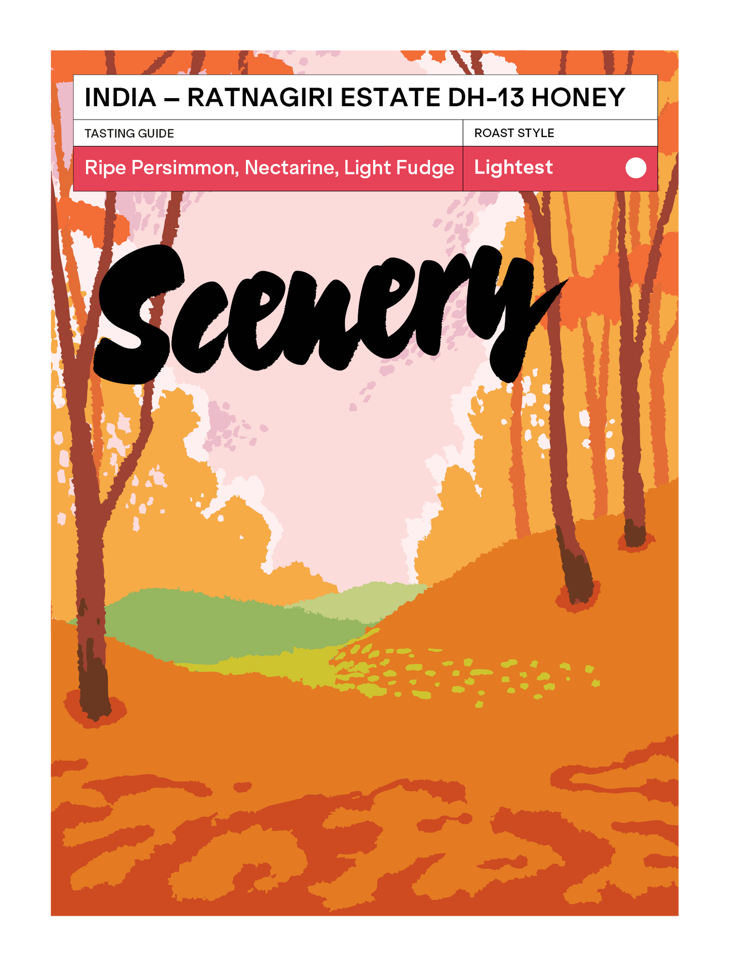 India - Ratnagiri Estate DH-13 Honey