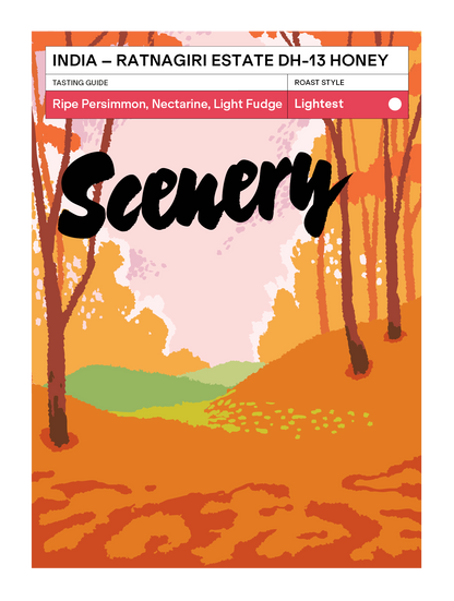 India - Ratnagiri Estate DH-13 Honey