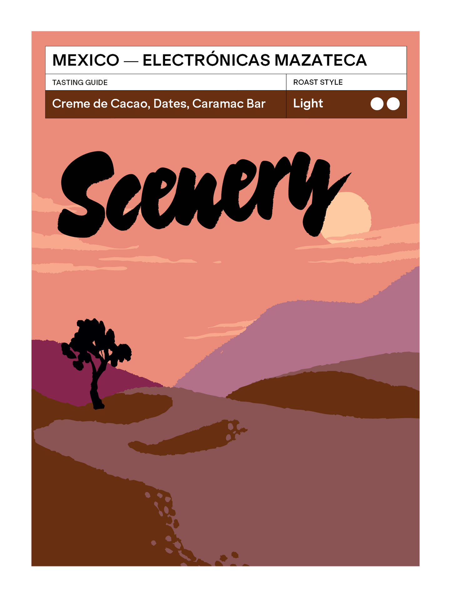 Mexico - Electrónicas Mazateca [25/26]