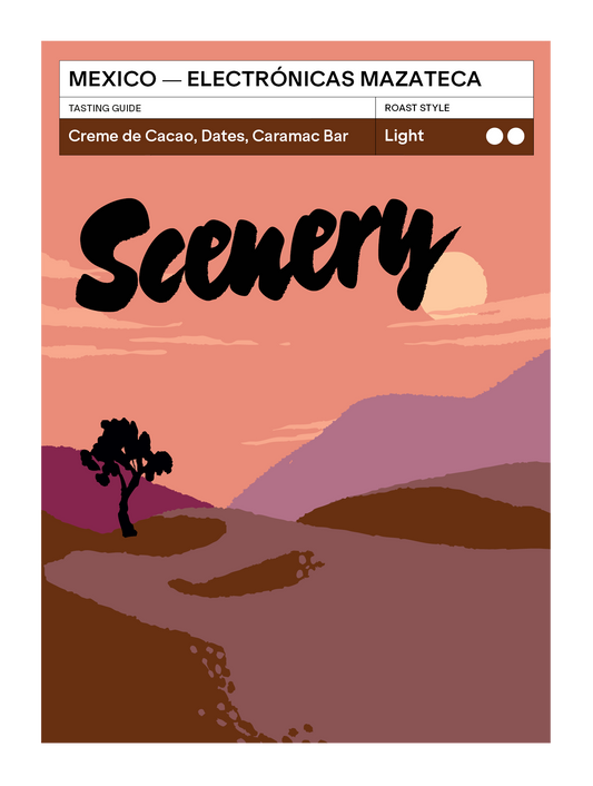 Mexico - Electrónicas Mazateca [25/26]