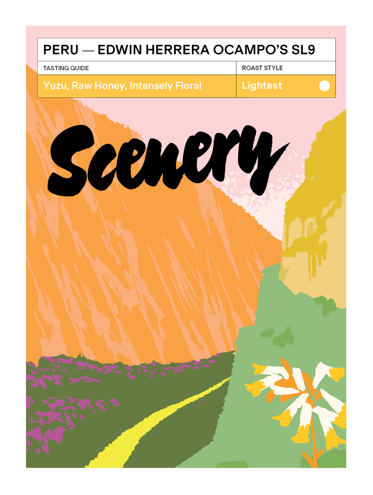 Peru - Edwin Herrera Ocampo's SL9