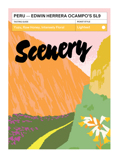 Peru - Edwin Herrera Ocampo's SL9