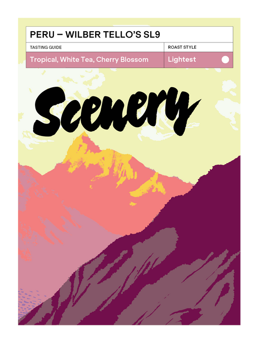 Peru - Wilber Tello's SL9