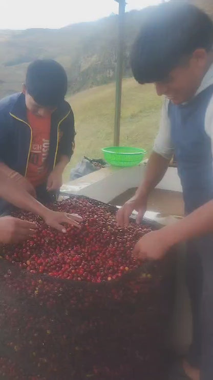 Peru - Elzer García Ticlahuanca
