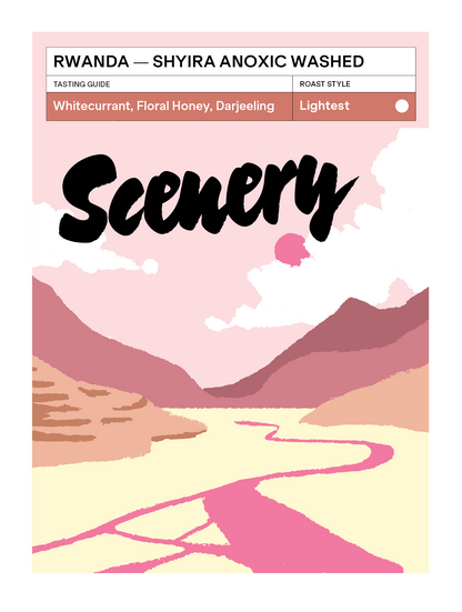 Rwanda - Shyira Anoxic Washed [25/26]