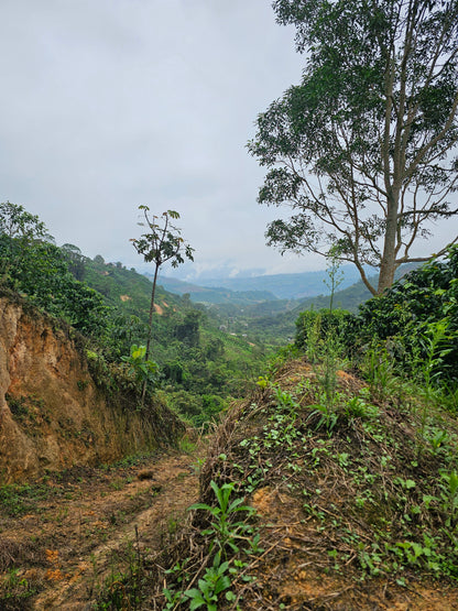 Colombia - La Soledad #7