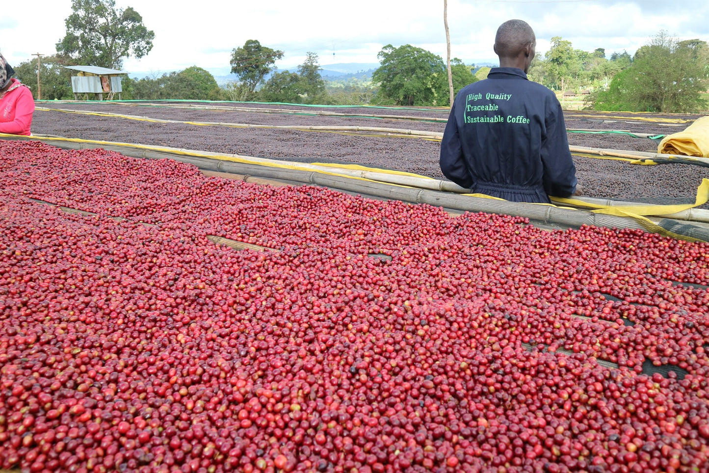 Ethiopia - Ture Waji Anoxic Natural